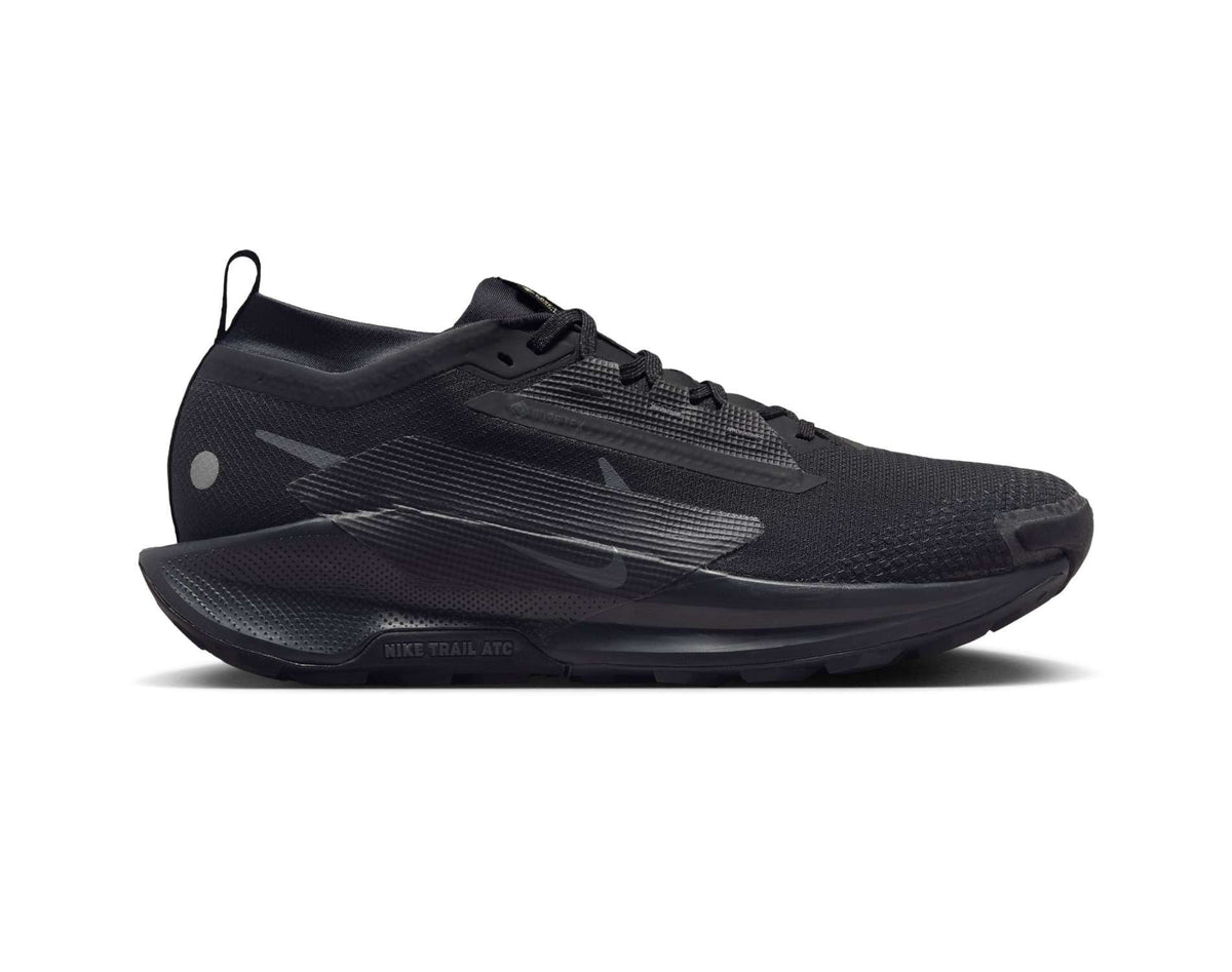 Nike Pegasus Trail 5 GORE-TEX Chaussures de trail homme