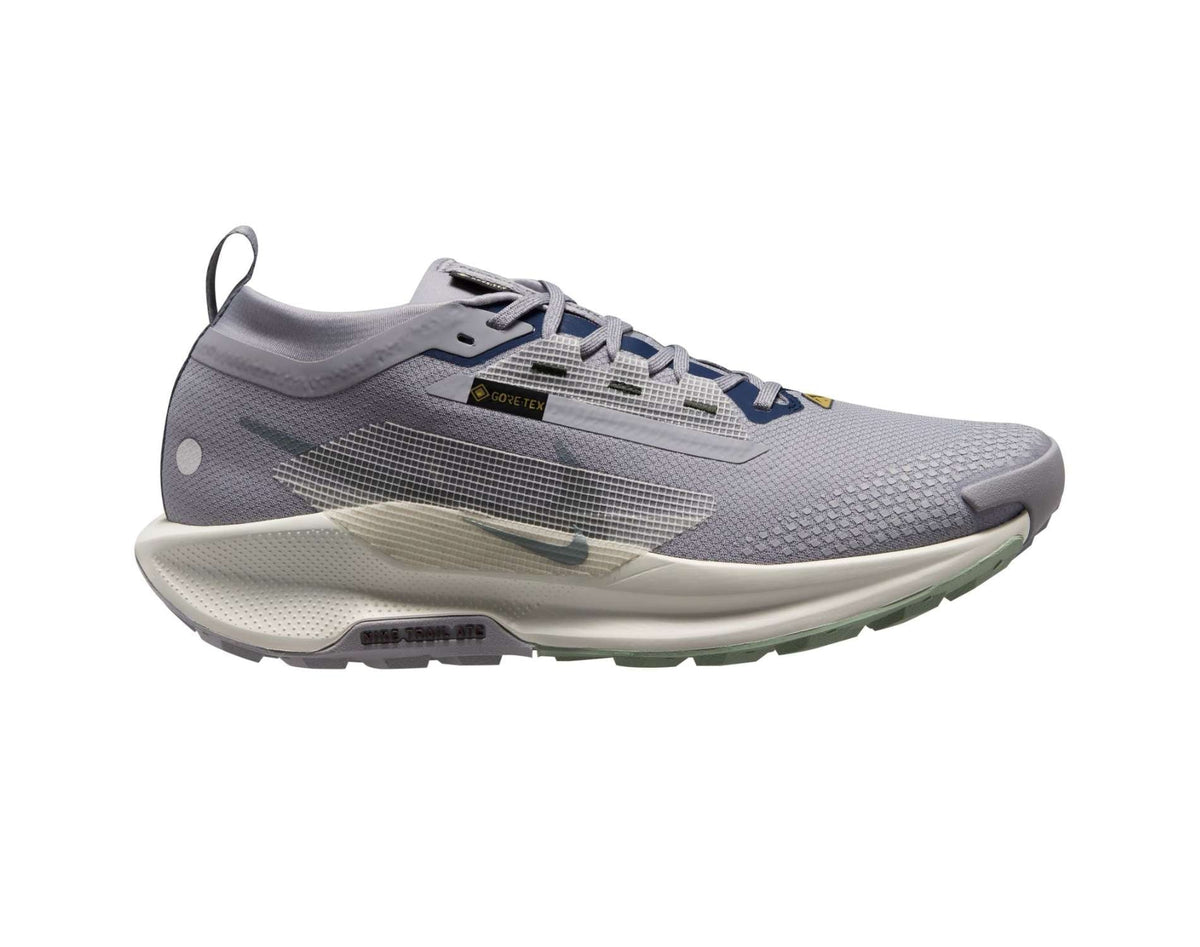 Nike Pegasus Trail 5 GORE-TEX Chaussures de trail homme