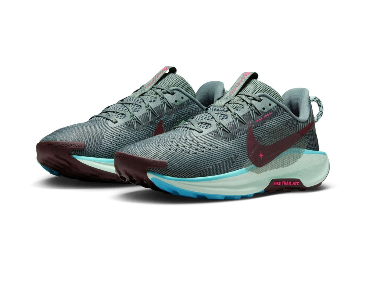 Chaussures de course pour hommes Nike Pegasus Trail 5