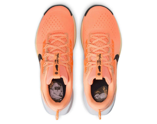 Chaussures de course Nike Pegasus Trail 5 pour femme
